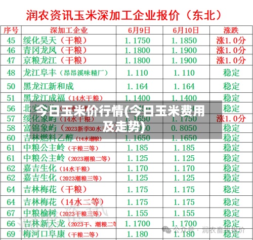 今日玉米价行情(今日玉米费用及走势)-第3张图片
