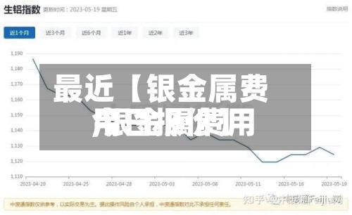 最近【银金属费用
,银金属费用
今日报价】-第3张图片