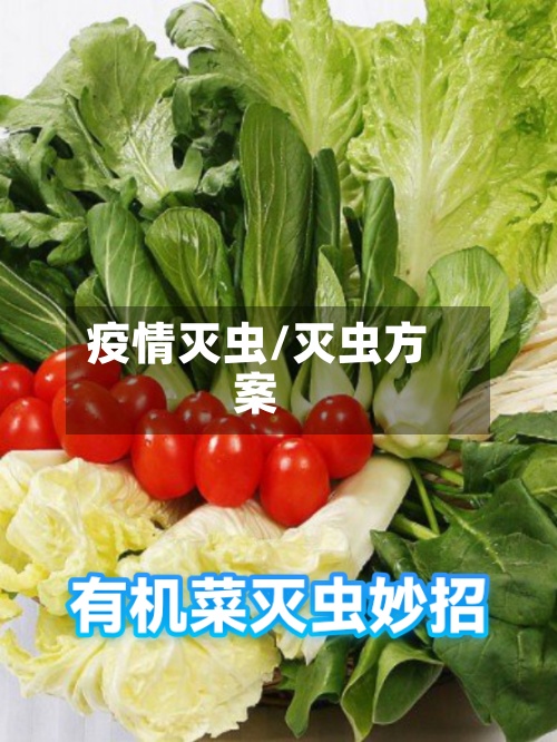 疫情灭虫/灭虫方案-第3张图片