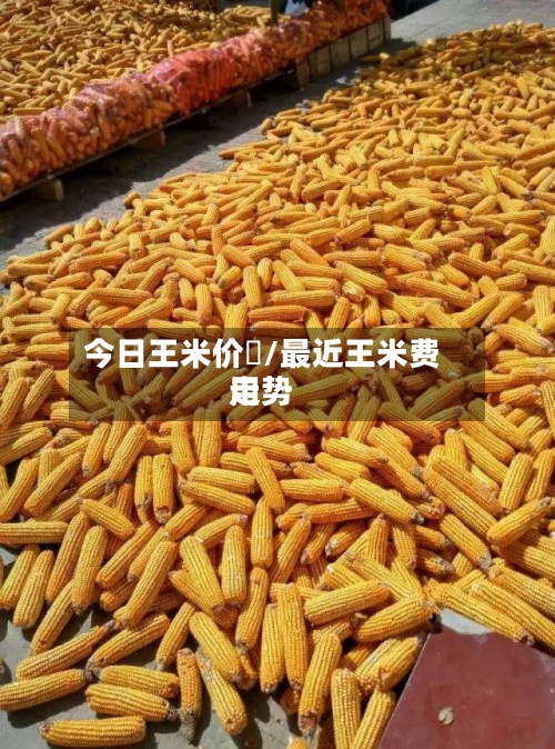 今日王米价栘/最近王米费用
走势