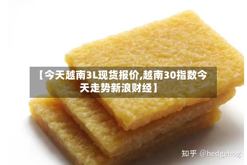 【今天越南3L现货报价,越南30指数今天走势新浪财经】