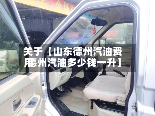 关于【山东德州汽油费用,德州汽油多少钱一升】-第2张图片