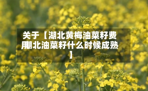 关于【湖北黄梅油菜籽费用
,湖北油菜籽什么时候成熟】