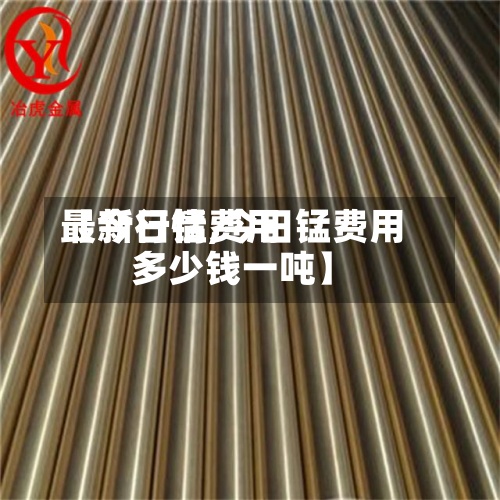 【今日锰费用最新行情,今日锰费用多少钱一吨】-第2张图片