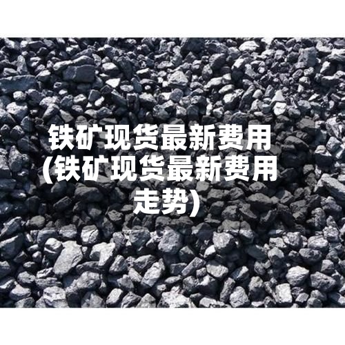 铁矿现货最新费用(铁矿现货最新费用走势)-第2张图片