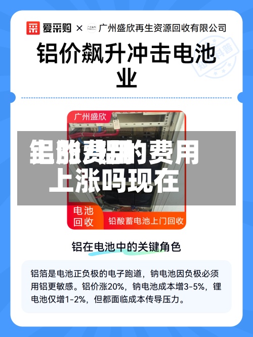 铝的费用
上涨/铝的费用
上涨吗现在-第2张图片