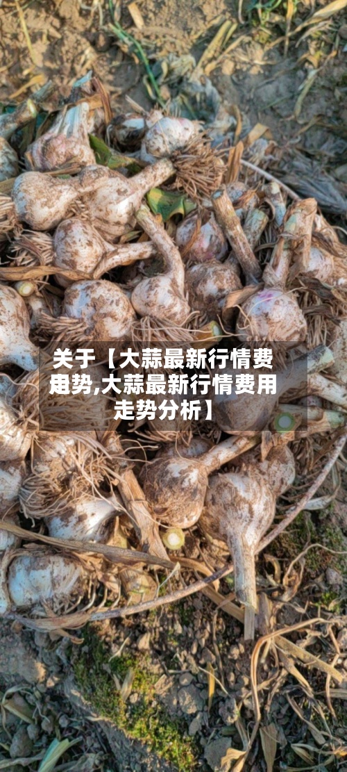 关于【大蒜最新行情费用
走势,大蒜最新行情费用
走势分析】