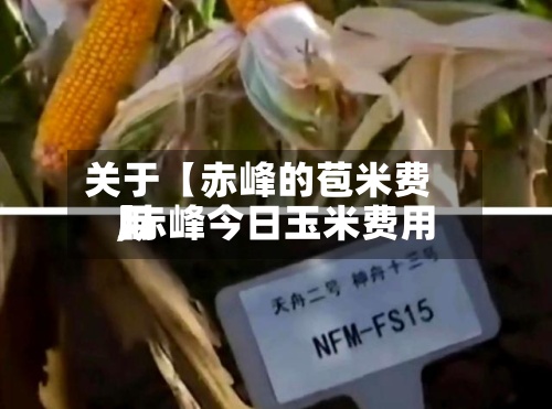 关于【赤峰的苞米费用
,赤峰今日玉米费用
】-第3张图片