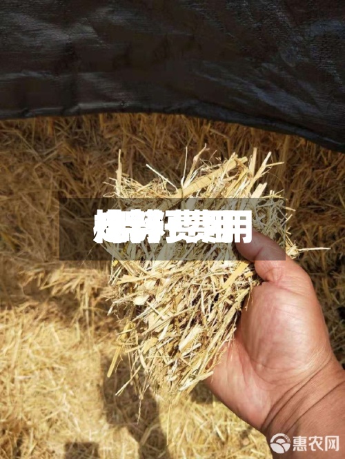 棉籽费用/棉籽费用走势-第2张图片