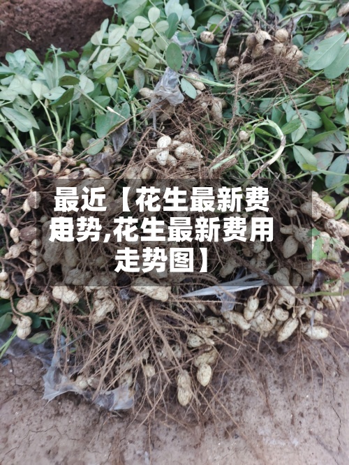 最近【花生最新费用走势,花生最新费用走势图】