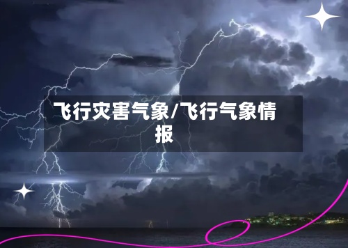 飞行灾害气象/飞行气象情报