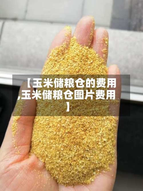 【玉米储粮仓的费用,玉米储粮仓图片费用】