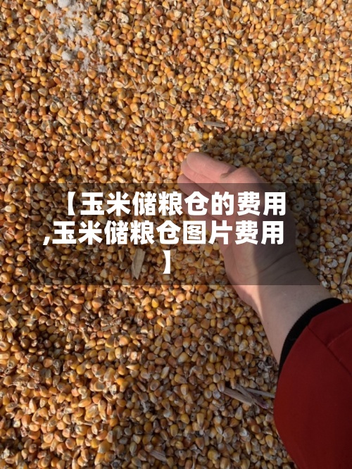【玉米储粮仓的费用
,玉米储粮仓图片费用
】-第2张图片