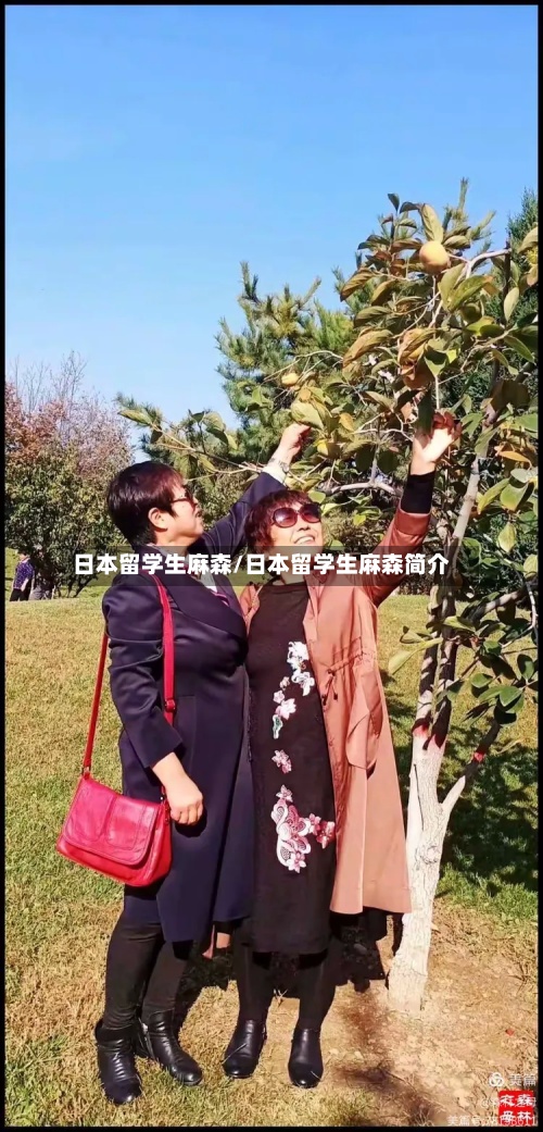 日本留学生麻森/日本留学生麻森简介