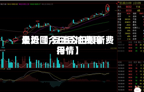 最近【今日豆油费用
走势图,豆油今日最新费用
行情】-第3张图片
