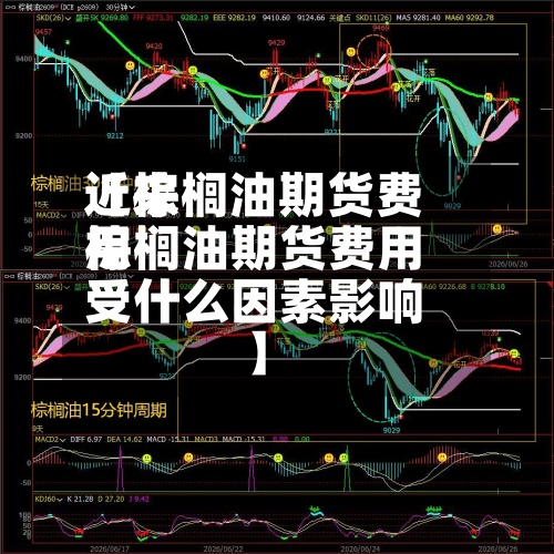 近来【棕榈油期货费用棕榈油期货费用受什么因素影响】-第2张图片