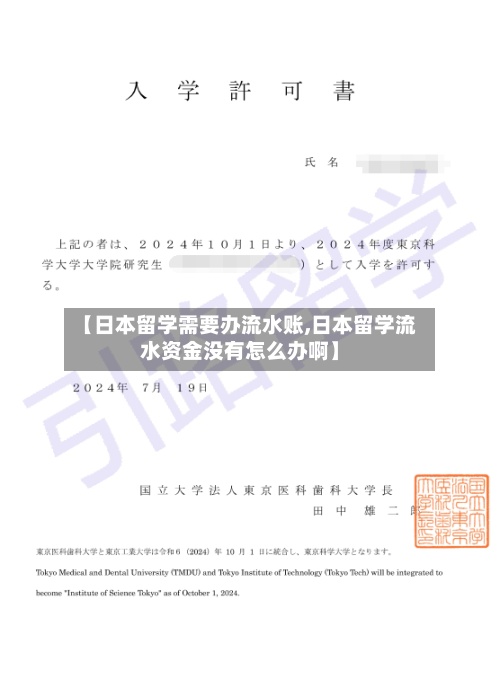 【日本留学需要办流水账,日本留学流水资金没有怎么办啊】-第3张图片
