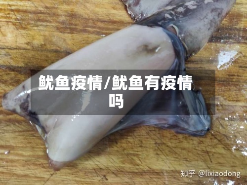 鱿鱼疫情/鱿鱼有疫情吗