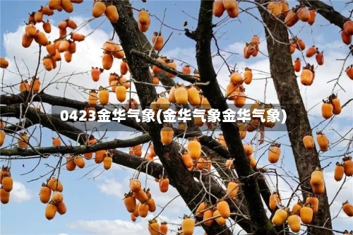 0423金华气象(金华气象金华气象)
