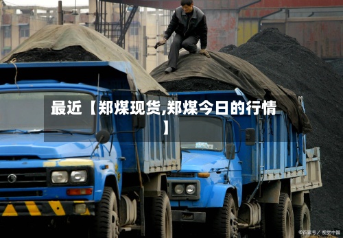 最近【郑煤现货,郑煤今日的行情】-第3张图片