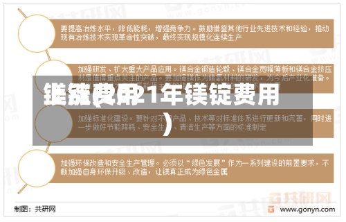 镁锭费用
上涨(2021年镁锭费用
)-第3张图片