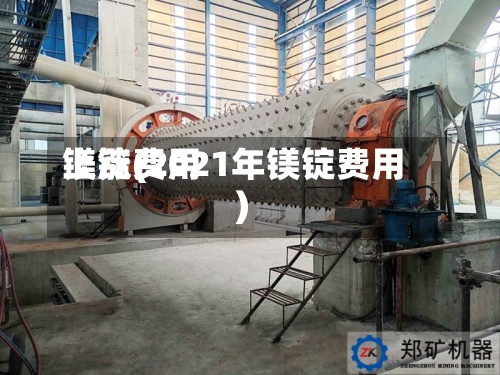 镁锭费用
上涨(2021年镁锭费用
)-第2张图片