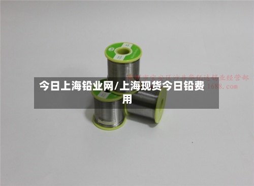今日上海铅业网/上海现货今日铅费用