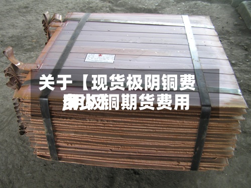 关于【现货极阴铜费用
,阴极铜期货费用
多少】