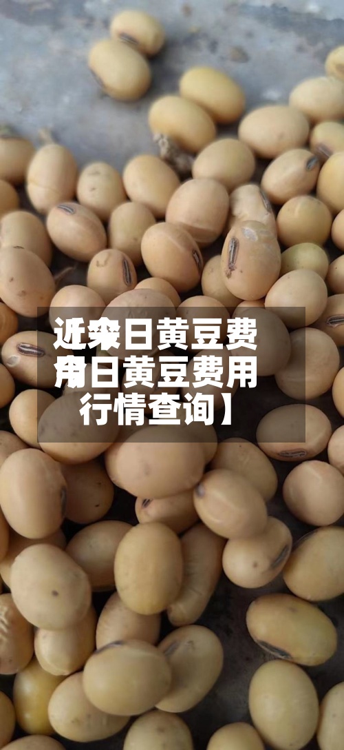 近来
【今日黄豆费用
今日黄豆费用
行情查询】-第2张图片