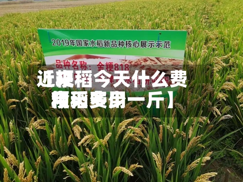近来【粳稻今天什么费用粳稻费用今天多少一斤】-第3张图片