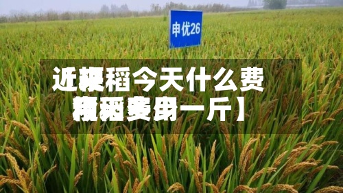 近来【粳稻今天什么费用粳稻费用今天多少一斤】-第2张图片