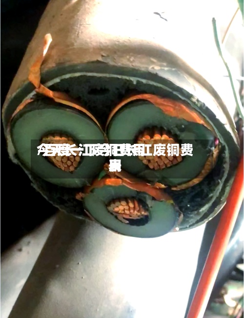 今天长江废铜费用
/百度一下今日长江废铜费用
表