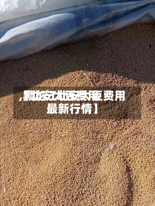 【北安大豆费用
,黑龙江北安大豆费用
最新行情】-第2张图片