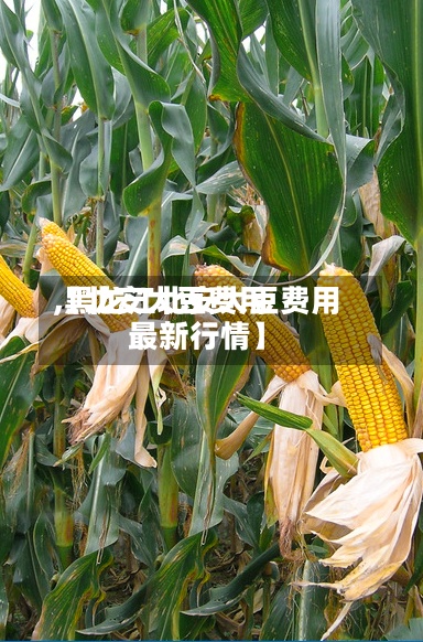 【北安大豆费用
,黑龙江北安大豆费用
最新行情】