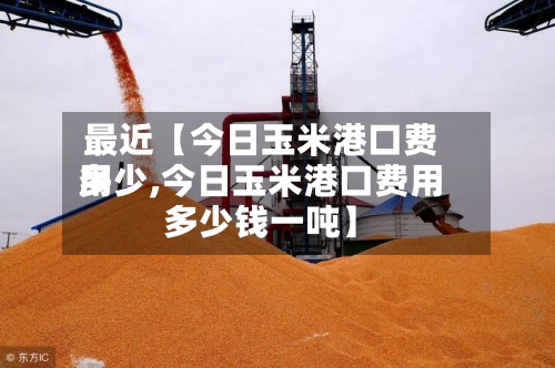 最近【今日玉米港口费用多少,今日玉米港口费用多少钱一吨】