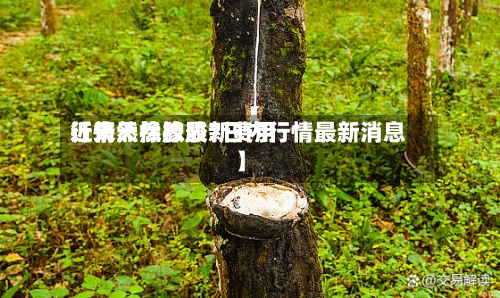 近来
【天然橡胶最新费用
行情天然橡胶7日内行情最新消息】