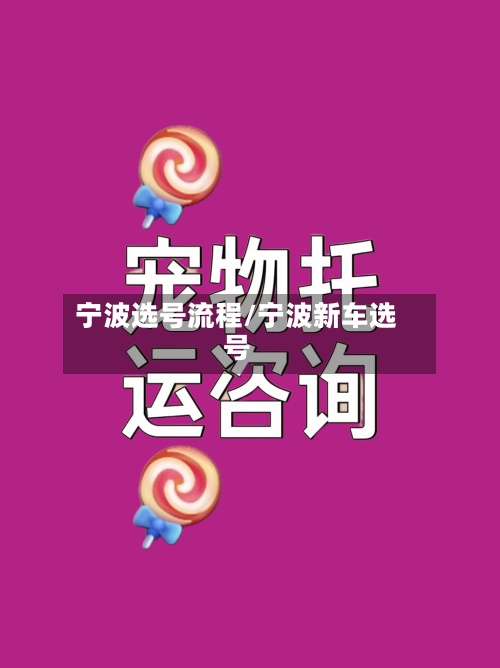 宁波选号流程/宁波新车选号