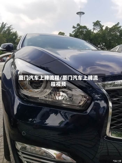 厦门汽车上牌流程/厦门汽车上牌流程视频-第2张图片