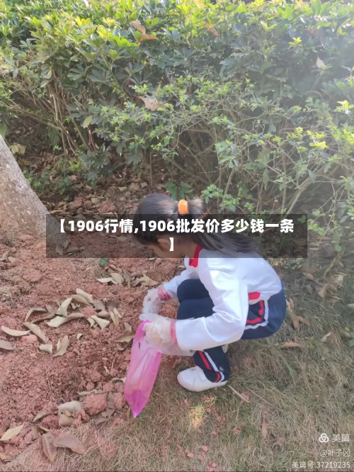 【1906行情,1906批发价多少钱一条】