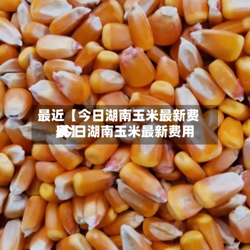 最近【今日湖南玉米最新费用
,今日湖南玉米最新费用
表】