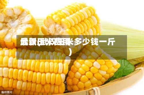 最新玉米费用
武汉(武汉玉米多少钱一斤)