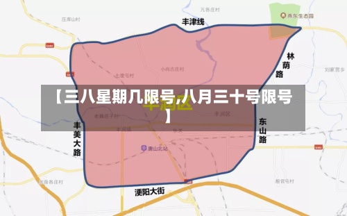 【三八星期几限号,八月三十号限号】-第3张图片