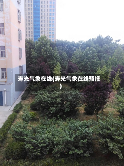 寿光气象在线(寿光气象在线预报)
