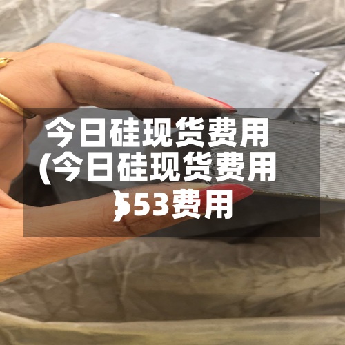 今日硅现货费用
(今日硅现货费用
553费用
)-第2张图片