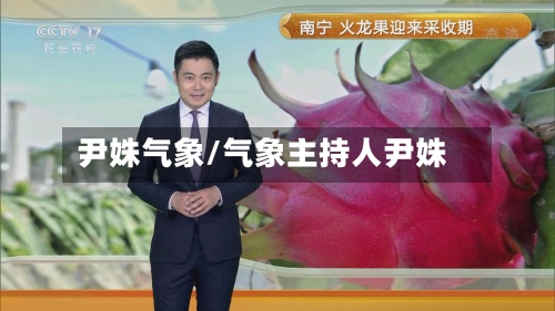尹姝气象/气象主持人尹姝-第3张图片