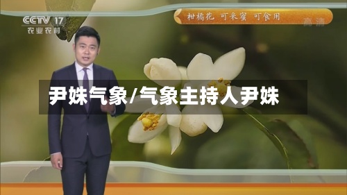 尹姝气象/气象主持人尹姝-第2张图片