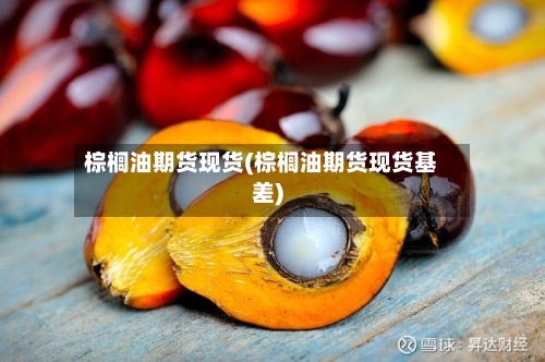 棕榈油期货现货(棕榈油期货现货基差)-第2张图片