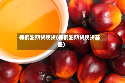 棕榈油期货现货(棕榈油期货现货基差)