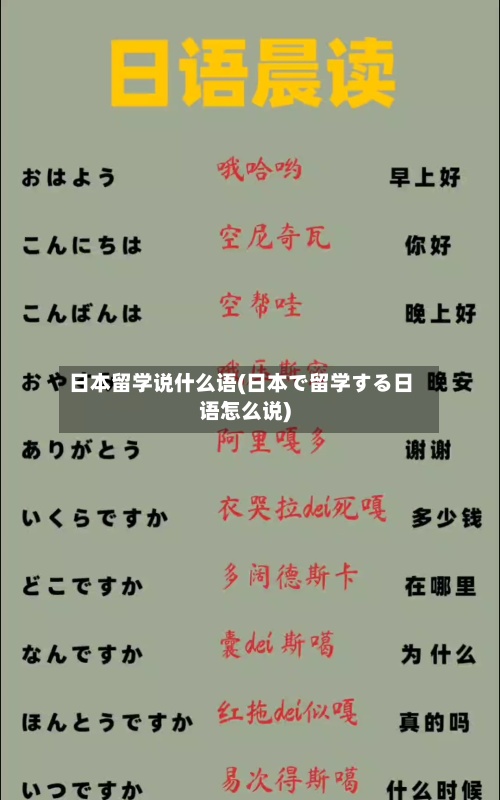 日本留学说什么语(日本で留学する日语怎么说)