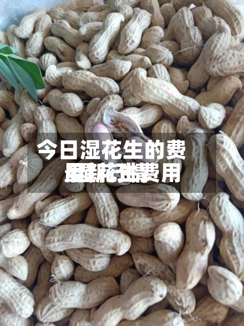 今日湿花生的费用
/湿花生费用
最新行情